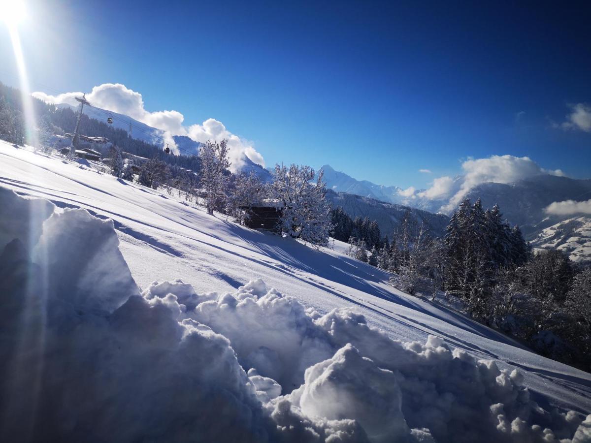 Appartement Franz Zell am Ziller Eksteriør bilde
