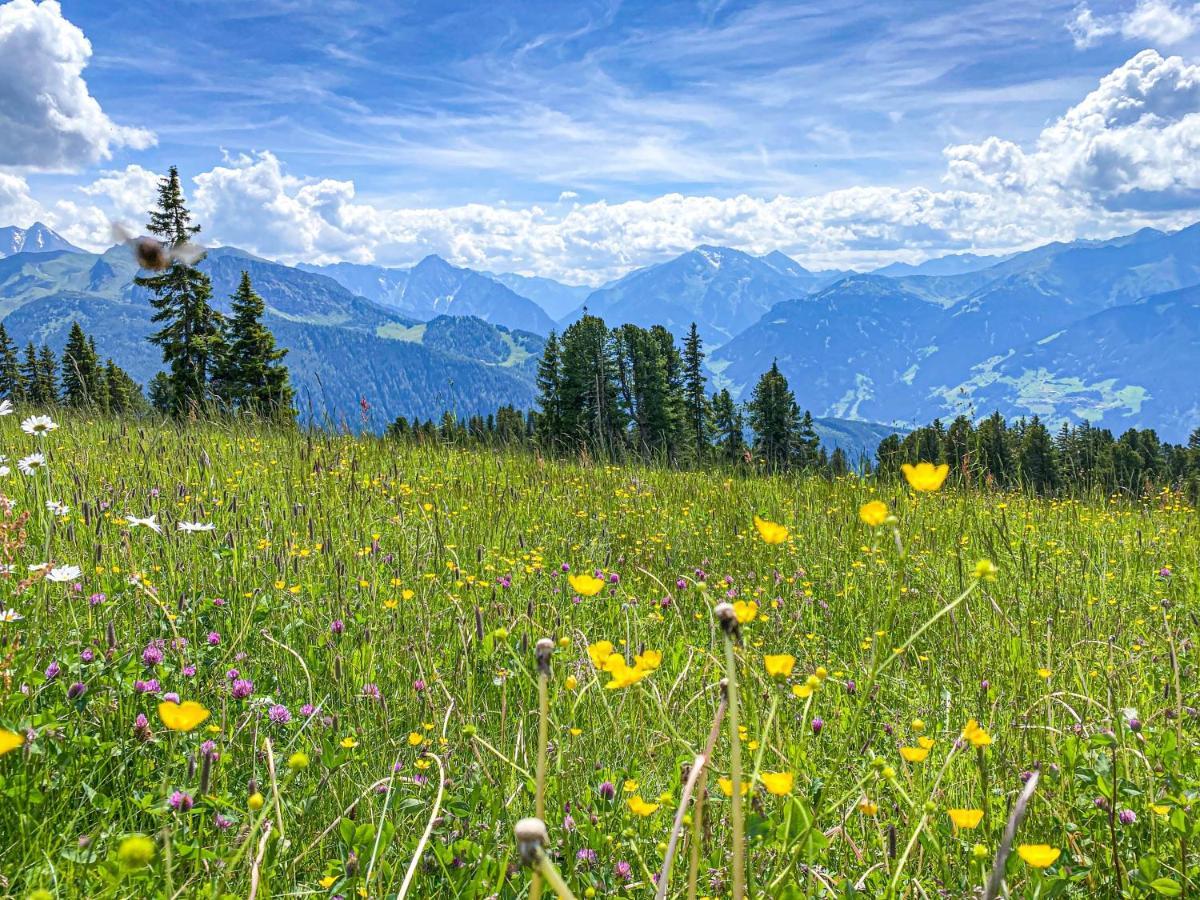 Appartement Franz Zell am Ziller Eksteriør bilde